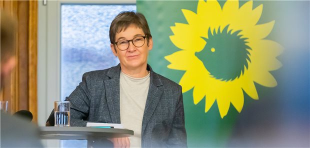 Neuer Job für Berliner Ex-Gesundheitssenatorin Ulrike Gote soll nach ihrem Aus als Berliner Gesundheitssenatorin nun wieder in Hessen Fuß fassen.