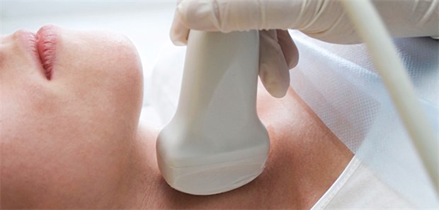 Ultraschall der Schilddrüse: Auch mit ihren zwei Lappen zählt die Drüse nur als ein Organ.