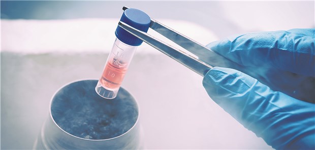 HIV-Heilung ist schwierig, aber möglich Um HIV zu heilen wird an Methoden geforscht, die weniger belastend als eine Stammzelltransplantation sind.