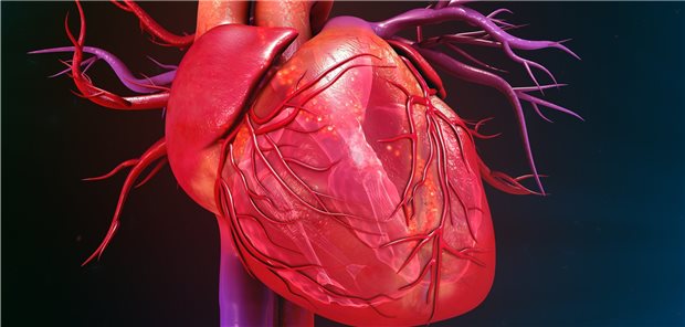 Um die herzchirurgische Versorgung in Deutschland ist es gut bestellt.