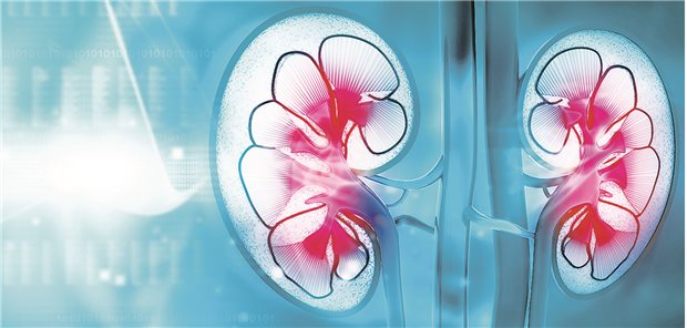 Um eine Nephropathie bei Diabetes zu verhindern oder deren Progress zu verlangsamen, empfiehlt die DDG eine umfassende Behandlung, bei der eine Pharmakotherapie auf einer gesunden Lebensweise aufbaut.