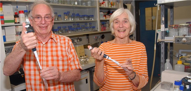 Mit 80 Jahren immer noch jeden Tag im Labor Unermüdlich: Das Forscherpaar Thomas Jovin und Donna Arndt-Jovin am Max-Planck-Institut für biophysikalische Chemie in Göttingen.