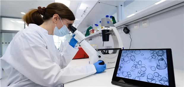 Nationales Centrum für Tumorerkrankungen bekommt vier neue Standorte Unter dem Dach des Nationalen Centrums für Tumorerkrankung soll, wie hier am Standort Dresden, vor allem an translationaler, personalisierter sowie patientenzentrierter onkologischer Forschung und Versorgung gearbeitet werden.