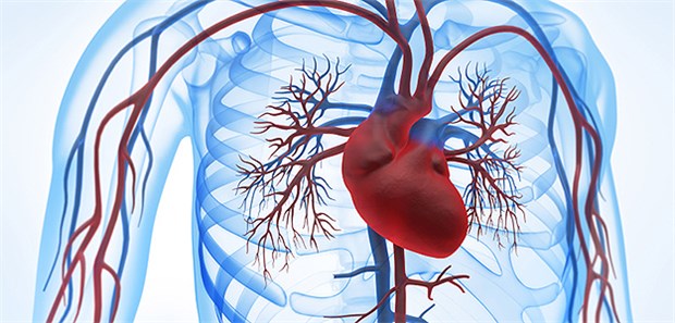 Unter realen Bedingungen treten Hyper- und Hypokaliämien bei überlebenden Herzinfarktpatienten häufig auf, zeigen die Daten aus SWEDEHEART.