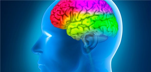 Unterschiedliche Gehirnregionen: Ein Diagnoseverfahren zur Erfassung des Zuckerstoffwechsels im Gehirn wurde jetzt weiterentwickelt. (Symbolbild)