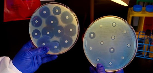 Gemeinsam gegen Antibiotika-Resistenzen Untersuchung auf Resistenzen. Zu oft reagieren Erreger nicht mehr auf Antibiotika.