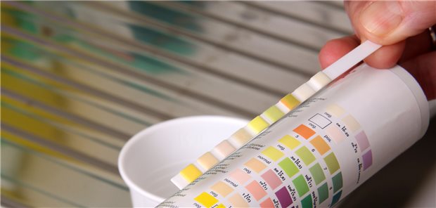Urinstix: Hinweise auf eine Harnwegsinfektion?
