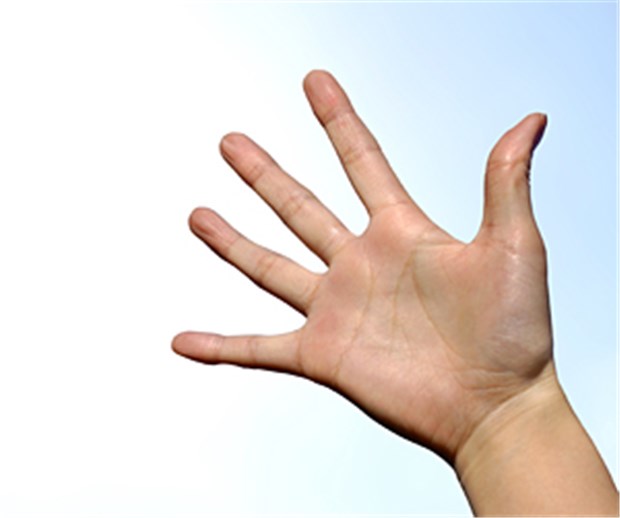 Lange Finger, kurze Finger Ursache für die Länge von Ring- und Zeigefinger ist wahrscheinlich das Verhältnis von männlichen und weiblichen Hormonen im Mutterleib.