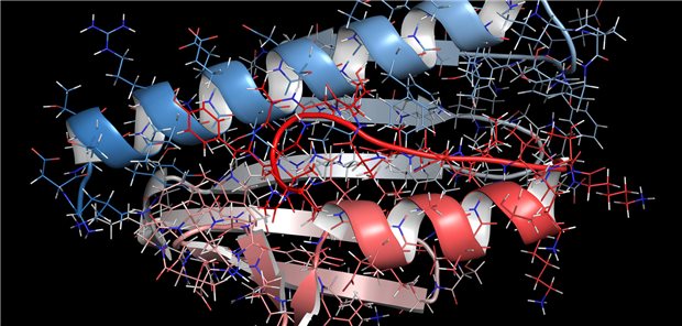 Dreidimensionale gerenderte Darstellung von humanem Frataxin, einem mitochondrialen Protein.