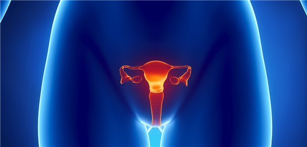 Uterus und Ovarien im Fokus: Etwa zwei von 1000 Frauen haben eine absolute Uterus-Unfruchtbarkeit, berichten Ärztinnen und Ärzte aus den USA.