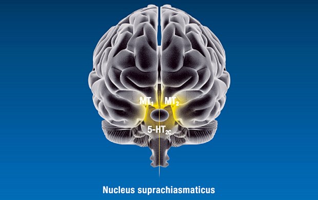 Valdoxan® (Agomelatin) wirkt als Agonist an melatonergen MT1- und MT2Rezeptoren sowie als Antagonist am 5-HT2c-Rezeptor.