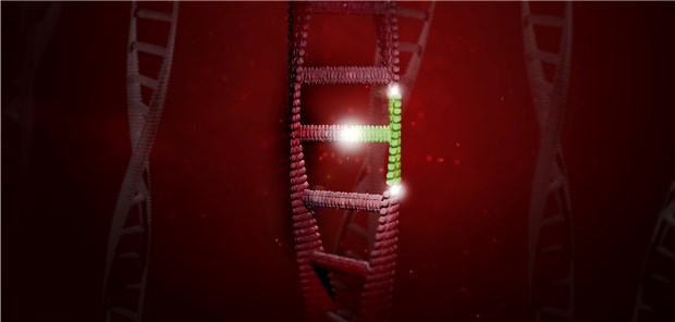 Veränderungen in der DNA: Die CRISPR-Methode wird immer ausgefeilter.