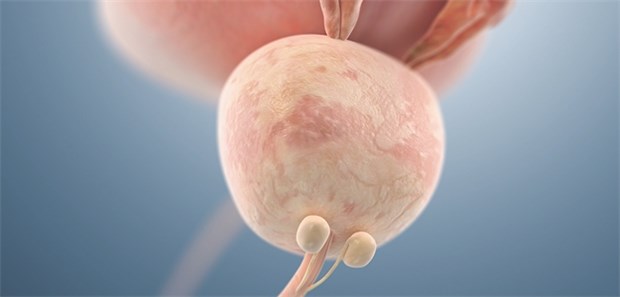 Zur Risikoschätzung gehört mehr als der PSA-Wert Verdacht auf Prostata-Ca: Jährlich werden in den USA und Europa mehr als zwei Millionen Männer einer Prostatabiopsie unterzogen.