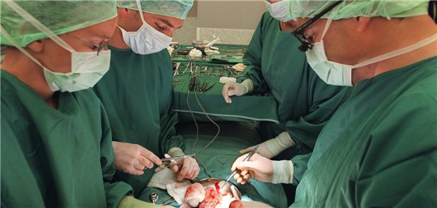 Ärzte sind über einen Op-Tisch gebeugt und transplantieren eine Niere.