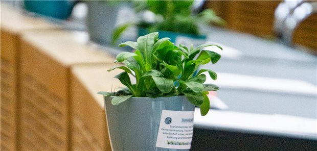 Mit Blumengrüßen für Demenz sensibilisieren Vergissmeinnicht im Saarbrücker Landttag.