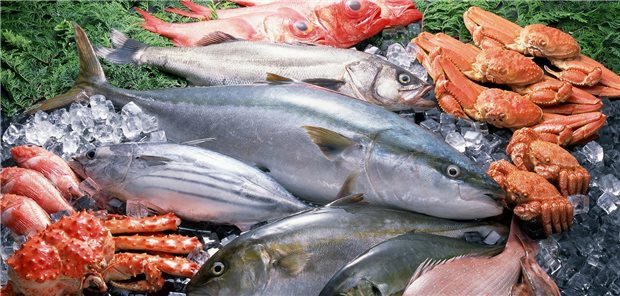 EU führt neue Gift-Grenzwerte für Lebensmittel ein Vergleichsweise hohe Bleigehalte wurden in der Vergangenheit etwa in Algen, Fisch und Meeresfrüchten nachgewiesen. (Schmuckbild)