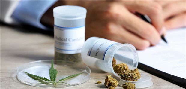 Verhindert eine restriktive Genehmigungspraxis der Krankenkassen, dass Patienten, denen THC helfen könnte, es nicht bekommen? Einige Vertreter der Medizinalhanfbranche sehen das so.