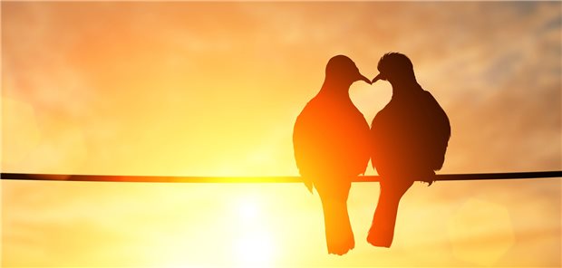 Verliebtes Paar: Gefühle zwischen Ärzten und Patienten können vorkommen – doch wie weit dürfen sie gehen?