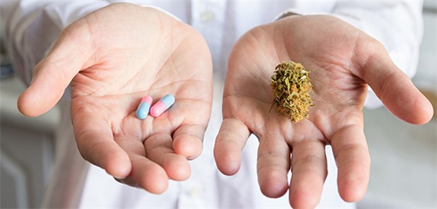 Praxisleitlinie Cannabis: Diese Indikationen sind möglich Verordnung von Cannabinoiden: Mögliche Indikationen sind in drei Evidenzgrade eingeteilt worden.