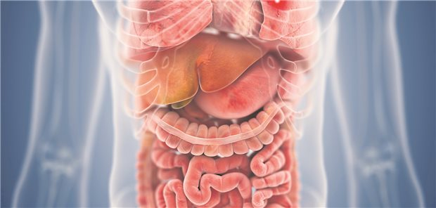 Verschiedene Organe können bei einer IgG4-assoziierten Autoimmunerkrankung betroffen sein – einzelne oder mehrere zusammen.
