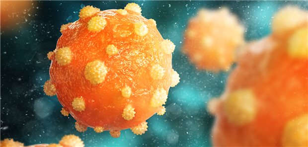 Verursacht Hepatitis B: das Hepatitis-B-Virus, ein DNA-Virus, das sich fast ausschließlich in Hepatozyten vermehrt. (3D-Illustration)