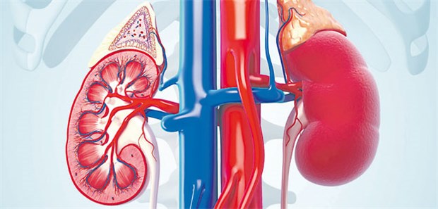 Viel diskutiert: Nephropathieprävention bei Patienten mit Kontrastmittelanwendung.