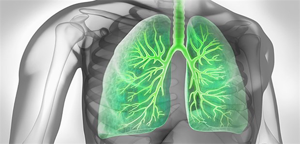 Viele Ärzte bringen die Lunge und eine Diabeteserkrankungen nicht genügend zusammen, fasst ein Oberarzt beim EASD-Treffen zusammen.