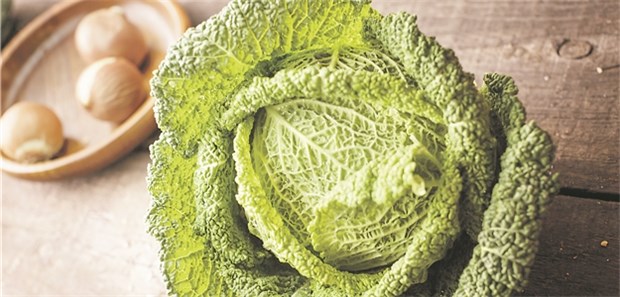 Evidenzbasiertes Rezept gegen Reizdarm Viele Kohlarten, etwa Wirsing, sind bei FODMAP-reduzierter Diät tabu.