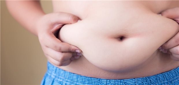 Viele Menschen sind adipös. Die Kombination aus Intervallfasten plus Protein-Pacing kann anscheinend neben einer Gewichtsabnahme auch zu einem gesünderen Mikrobiom verhelfen.