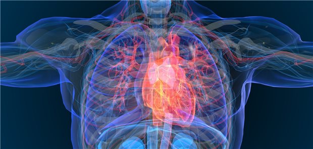 Viele Versorgungsaspekte in der DMP-Richtlinie Herzinsuffizienz weichen von den aktuellen Leitlinienempfehlungen ab, hat das IQWiG festgestellt.