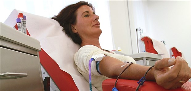 Vielspenderinnen (16 Blutspenden in 10 Jahren) hatten weniger kardiovaskuläre Komplikationen als Wenigspenderinnen.