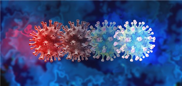 SARS-CoV-2-Virusvarianten: Impf-Booster bei Genesenen erhöht Schutzwirkung Schutz vor SARS-CoV-2: Mit einer Kombination aus zwei monoklonalen Antikörpern konnten hier gute Ergebnisse erzielt werden.