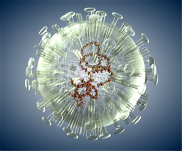 Vogelgrippe-Toter in China Vogelgrippe-Virus: Bei Hongkong ist ein Mann an der Infektion gestorben.
