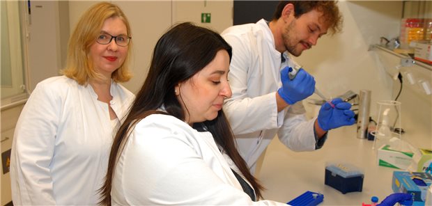 Vom Labor ans Krankenbett: Um die Ergebnisse ihrer Grundlagenforschung schneller in die therapeutische Anwendung bringen zu können, hat Elisabeth Zeisberg die Firma Avocet Bio Sciences GmbH gegründet. Hier bereiten die Avocet-Mitarbeiter Nils Salaw und Dr. Sabine Maamari eine neue Versuchsreihe vor.