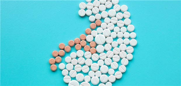 Von den etwa 500 essenziellen Arzneimitteln werden 50 Prozent renal eliminiert. 