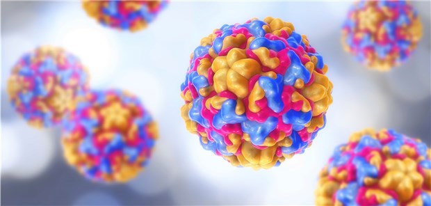 Vor allem Rhinoviren scheinen derzeit in Deutschland unterwegs zu sein.