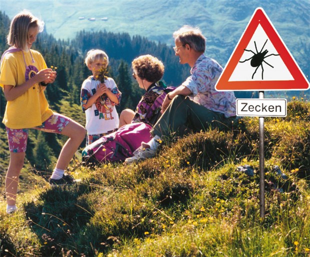 FSME-Gefahr besteht inzwischen auch im Norden Deutschlands und im Gebirge Vor einer Frühsommer-Meningoenzephalitis (FSME) ist man auch in höher gelegenen Regionen nicht mehr sicher.