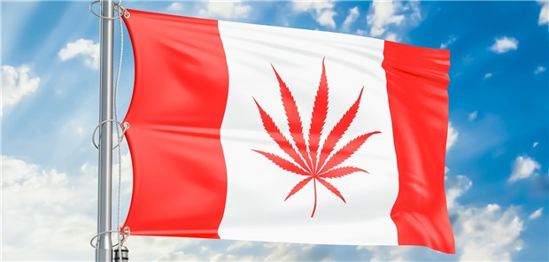 Mehr Cannabis-Erstkonsumenten in Kanada nach Legalisierung Vor gut sieben Monaten wurden Konsum und Verkauf von Cannabis in Kanada – als zweitem Land weltweit – legalisiert.