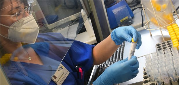 Neue Corona-Testverordnung auf der Zielgeraden Vorbereitung von PCR-Testanalysen. Nach der neuen Testverordnung werden die Tests von Ärzten und MFA bevorzugt untersucht.