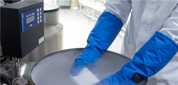 Stammzellbank – Rückgrat für Blutkrebspatienten weltweit Vorbereitungen zur Kryokonservierung von Stammzellen. DKMS
