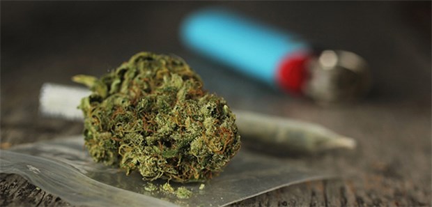 Kriminalbeamte fordern regulierten Marihuana-Markt Vorbild USA und Portugal? Dort ist es in kontrolliertem Maß erlaubt, Cannabis zu konsumieren.