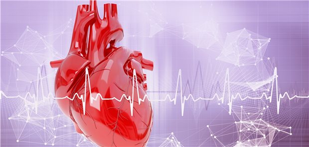 Vorhofflimmern: 20 bis 30 Prozent der davon betroffenen Patienten erhalten hierzulande eine von den Empfehlungen abweichende NOAK-Dosierung. Meist wird das NOAK aktuellen Registerdaten zufolge zu niedrig dosiert.