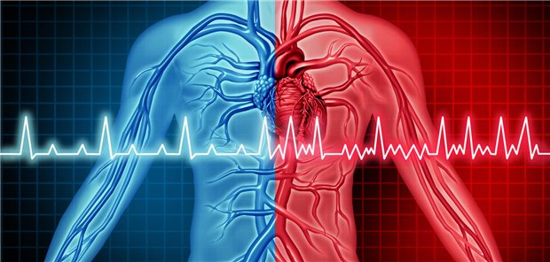 Schematische Darstellung eines Brustkorbs mit EKG