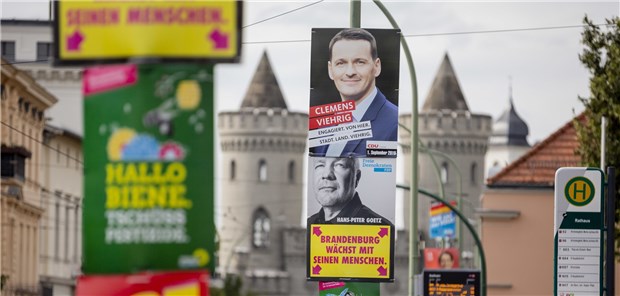 Gesundheitspolitik taugt wenig zur Profilierung Wahlplakate zur Landtagswahl in Potsdam.