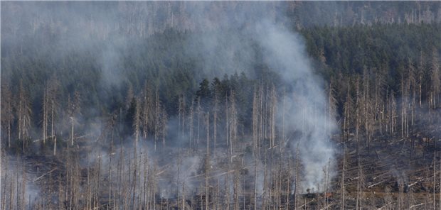 Klima-Risiken sollen Teil der Ärzteausbildung werden Waldbrand: Der Klimawandel wirkt sich auch in Deutschland aus. Das Gesundheitswesen versucht in seinem Bereich gegenzusteuern.