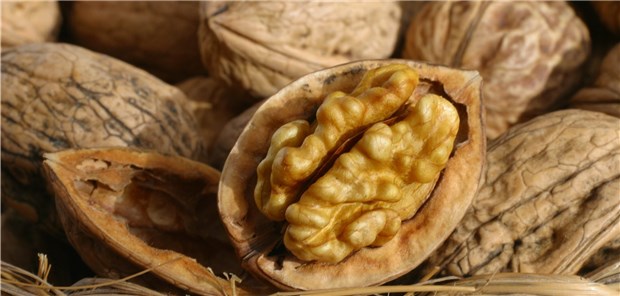 Walnüsse fürs Hirn? Das ist vielleicht nicht ganz so einfach.