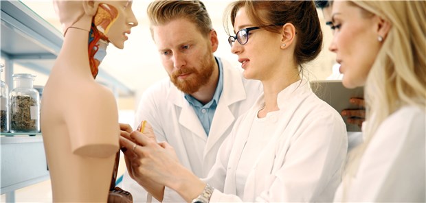 Bald erster Entwurf für neue Approbationsordnung? Wann ist der beste Zeitpunkt, dass Medizinstudenten nicht nur an Modellen üben, sondern auch an echte Patienten herangeführt werden? Darüber herrscht bei der Reform des Medizinstudiums noch Uneinigkeit.