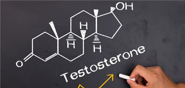 Wann sollte darauf geachtet werden, dass der Testosteronspiegel wieder steigt? Hier gilt es einiges zu beachten.