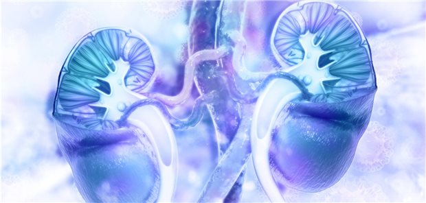 Wann wird aus einer Niereninsuffizienz ein vollständiges Nierenversagen? Das lässt sich anhand von sechs Laborparametern jetzt besser beurteilen.