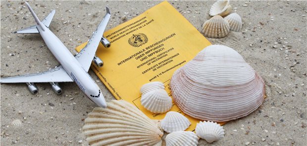 Impfbuch im Sand, halb bedeckt von Muscheln und einem Spielzeugflugzeug.